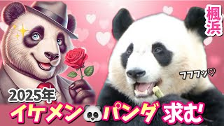 【パンダアイドル楓浜】今年は🐼の願いが叶うかも！運命の出会いを期待する初春ふうひん♡