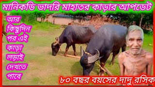 মানিকডি  ভাদরী মাহাতর কাড়ার আপডেট