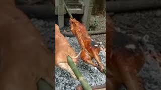 NAGLECHON KAMI AT NAG SWIMMING #shorts #shortvideo #lechonbaboy