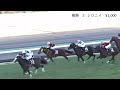 2022.12.24 白毛　シロニイ　中山11r グレイトフルステークス