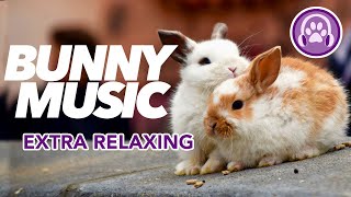 Music for Rabbits - INCREDIBLE RESULTS (11 Hour Lullaby)