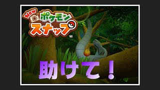 【New ポケモンスナップ リクエスト攻略】\