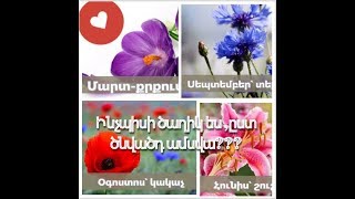 Ինչպիսի ծաղիկ ես ըստ ծնվածդ ամսվա?|Inchpisi caxik es @st cnvact amsva?