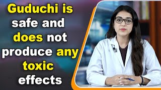 Guduchi is safe and does not produce any toxic effects