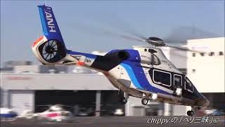 AIRBUS H160 (c/n:1004 mass production first plane) Takeoff ANH(All Nippon Helicopter) JA01NH