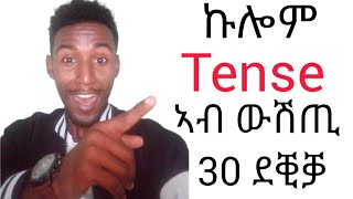 ALL TENSES| Present,past,future|simple,continuous,perfect|