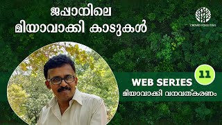 ജപ്പാനിലെ മിയാവാക്കി  കാടുകൾ | Minimum Space Required for a Miyawaki forest  | Web Series #11