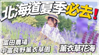 夏の北海道2023｜喬仔帶你睇薰衣草花海！夏天必去薰衣草園 《富田農場》《中富良野薰衣草園》