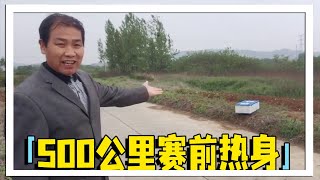 放鸽子比赛为什么说：放单不放双，放双丢光光！你听说过这句话吗？【农村达叔】