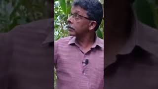 എന്താണ് ഇലപേൻ ഏലം മഞ്ഞളിപ്പും അതിന്റെ കാരണങ്ങളും full video ചാനലിൽ #cardamom #ഏലം