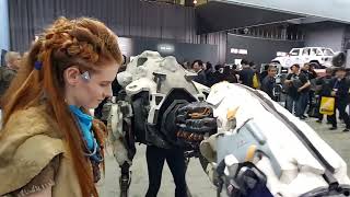 Horizon Zero Dawn Cosplay (Aloy the Warrior and \