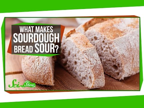 What Makes Sourdough Bread Sour? What Makes Sourdough Bread Sour?