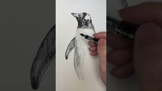 如何快速画企鹅（绘画，钢笔手绘）How to quickly draw penguins (drawing, pen drawing)#shorts #Hand drawn