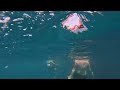 swimming in alanya 4k