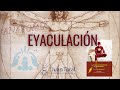 Fisiología de la EYACULACION 💦 ¿qué ocurre en nuestro cuerpo? PASO A PASO