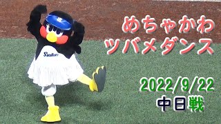 【振替試合】　ツバメダンスを踊るつばみ姫をどうぞ