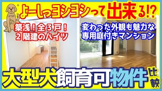 【ムツゴロウさん並みに大型犬と戯れられる！？】タイプの違うペット可物件を比較！築浅ハイツvsオシャレマンション【ルームツアーで内見】