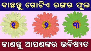 ବାଛନ୍ତୁ ଗୋଟିଏ ରଙ୍ଗର ଫୁଲ ଓ ଜାଣନ୍ତୁ ଆପଣଙ୍କର ଭବିଷ୍ୟତ // bachantu gotie phula o janantu bhabisya part 2