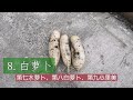 【种菜】9月种什么 11种蔬菜推荐 天气转凉 种菜季结束了吗？