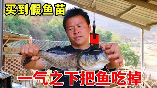 花280元買200條鱖魚苗，收到的卻是假貨，小伙一氣之下把魚給吃了【石頭秀】