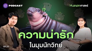 หมูเด้ง-หมีเนย ทำไมน่ารัก นักวิทยาศาสตร์มีคำตอบ! | Human-ศาสตร์ EP.10