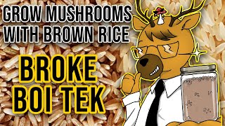 EASIEST Way to Grow Mushrooms - Broke Boi Tek
