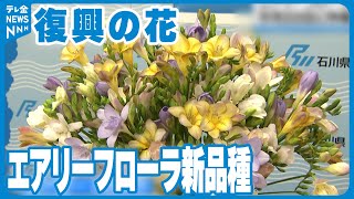 【復興の花】エアリーフローラ新品種登場　石川県が開発したフリージア