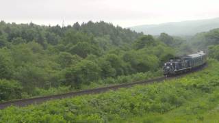 【汽笛あり】 急行北海道一周ニセコ号 二股～蕨岱通過 2012.7.1