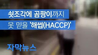 [자막뉴스] 쇳조각도 안 거르고 곰팡이 득실…못 믿을 ‘해썹(HACCP)’ / KBS뉴스(News)