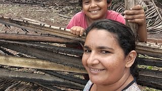 Francisco junior sabe plantar arroz  lagoa está bem cheia andamento da nossa roça