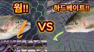 송어낚시 웜 스푼 하드베이트 낚시!! 동절기 바텀권 송어공략!! area trout fishing #evergreen artisan competition