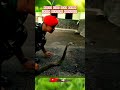 kami bukan hebat, tapi terlatih #abdinegara #kopassus #tniad #shortvideo #bravo