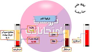 ايقاظ علمي سنة سادسة: تركيبة الدم (مكوّنات الدم)