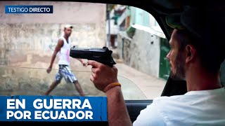 Las BANDAS ecuatorianas se UNEN con la mafia albanesa para ELIMINAR a los CHONEROS