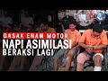 Tiga Mantan Napi Asimilasi Beraksi Lagi, Curi 6 Motor