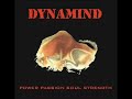 dynamind inner fire