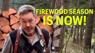 ITS ALWAYS FIREWOOD TIME!