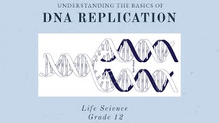 DNA replications | Life science grade 12 | DNA: Code of life