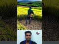 🤔நெல் அறுவடை மெஷின்⁉️ paddy harvester machine 💥 trending machine harvester paddy yt shorts