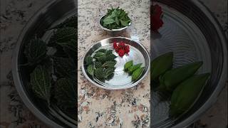 நமது தோட்டத்தில் 4 காய்கறி அறுவடை today harvesting 4 vegetables from garden #garden #farmer#harvest