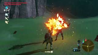 Trolling the Yiga #2