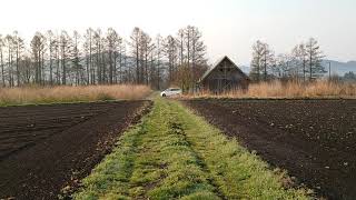 高原の朝の散歩　鳥の声