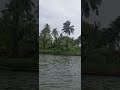 kollam ashtamudi kayal nature shortvideo