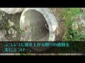 【スカっとする話】娘が産まれてから3か月間頑なに私を無視し続ける夫。私「ねぇ、どうして？」夫「 」➡実家に戻ると、夫「実は 」