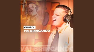 Vai Brincando