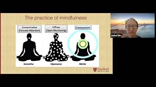 Mindfulness Meditation for Chronic Pain