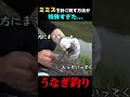 うなぎが釣れる餌の付け方！！【ミミズ】 shorts