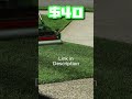 kill weeds not grass ~ do this yardbrah trending lawncare subscribe howto beforeandafter