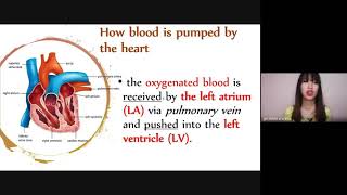 How the Circulatory and Respiratory Systems work together? - real-time discussion unedited audio