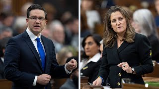 "Most Canadians don't have a chauffeur": Poilievre targets Freeland during question period
